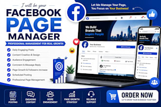 be your professional facebook page manager