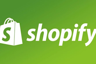 do shopify product listing and ecommerce data entry