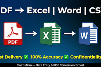 accurate PDF to excel word conversion clean and error free