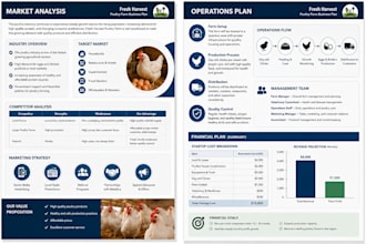 write a professional business plan, startup plan,