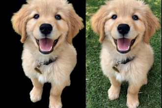 remove the background professionally