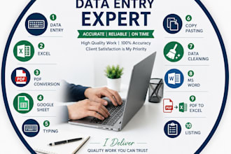 data entry, excel data entry, pdf to excel, data cleaning,