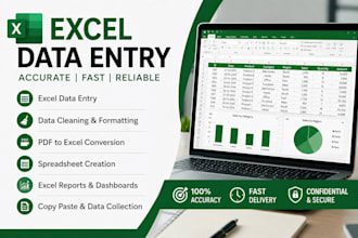 develop custom excel solutions excel data entry data cleaning formatting