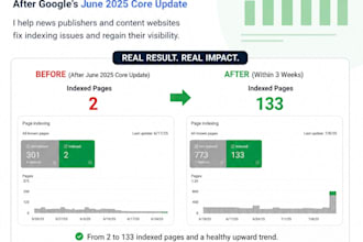 audit and fix google indexing issues for your  website