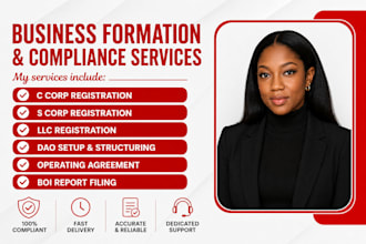 do llc, c corp, s corp registration, dao operating agreement and boi report
