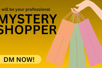 assess your customer experience and provide a mystery shopping report