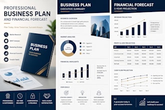 create a professional business plan and financial forecast