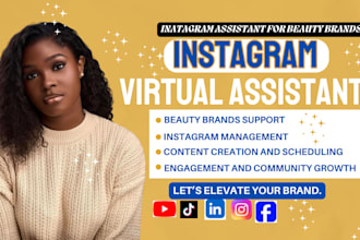 instagram virtual assistant instagram va ig va instagram virtual assistant ig va