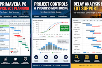 create professional primavera p6 schedules for your project