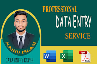 do excel data entry, copy paste and website data entry tasks