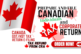 prepare and file canadian taxes, corporation tax t2, personal tax t1