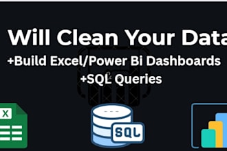 do data analysis, excel dashboards, and data cleaning for your business