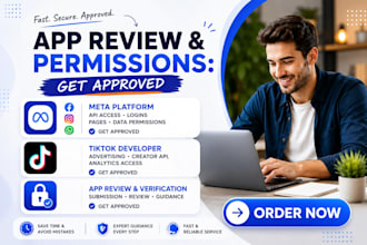help you get meta, fb, ig, whatsapp API, tiktok app permissions and approvals