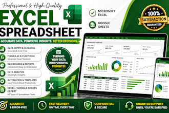 microsoft excel spreadsheet, professional excel financial model or spreadsheet