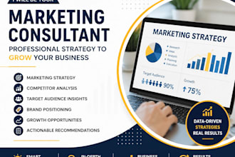provide professional marketing strategy and business growth recommendations
