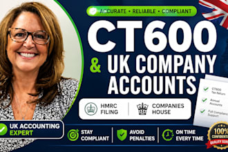 prepare and file UK company accounts and ct600 with hmrc