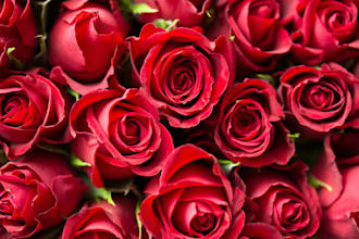 be your love coach expert