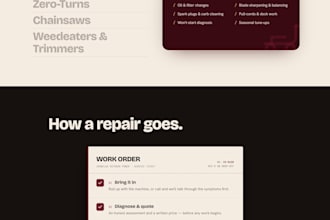 develop and host a website for you