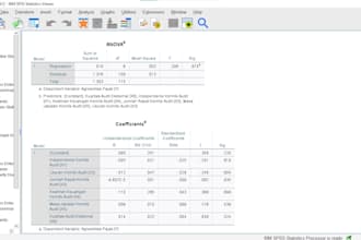 analyze your data using spss, smartpls, amos, jasp, eviews, or excel