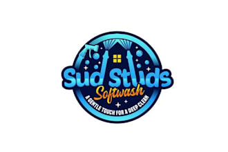 design professional soft wash service company logo