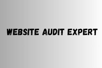 do a professional shopify audit