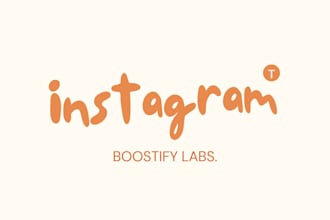 provide professional instagram marketing and organic audience growth