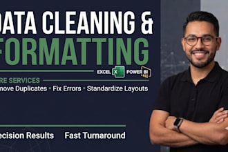 do excel data cleaning, formatting, and database organization