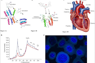 design scientific figures and medical illustrations for publications