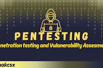 perform a pentest and vulnerability assessment
