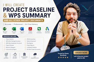 create professional project baseline, wbs, wps summary, primavera