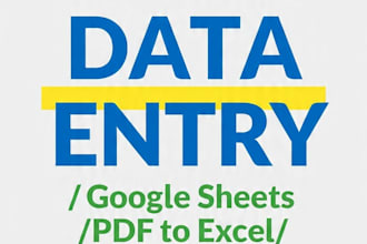 be your accurate excel data entry and typing expert