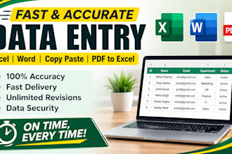 do fast and accurate excel data entry and copy paste work