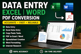 do data entry, excel data entry, copy paste, and PDF conversion