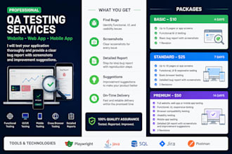 test your website and web app professionally