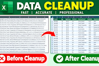 clean and prepare your excel and CSV data