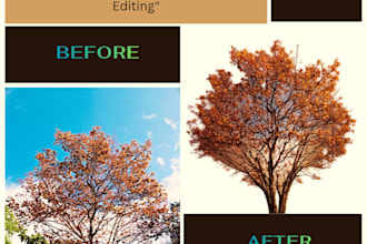 do professional background removal and photo retouching