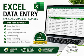 do accurate excel data entry, typing and spreadsheet work