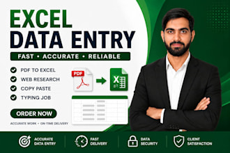 do fast accurate excel data entry and copy paste