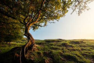 shoot custom cinematic cotswolds landscape photography and video
