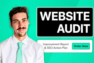 audit your wordpress website and provide an action plan