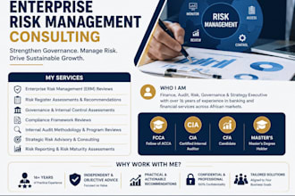 provide enterprise risk management consulting