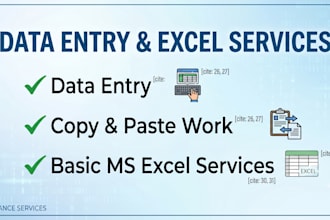 do accurate data entry, copy paste and excel services