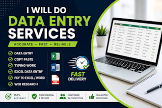data entry and excel work accurately
