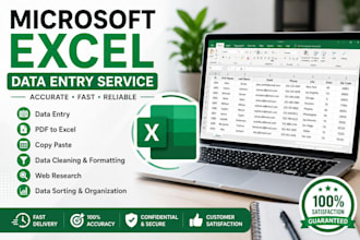 do data entry, excel data cleaning, and formatting, convert PDF to exce
