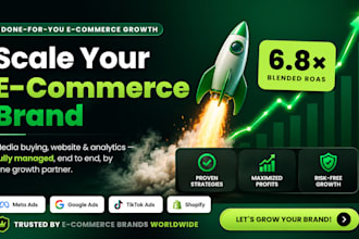 manage your ecommerce brand with paid ads, cro and reporting
