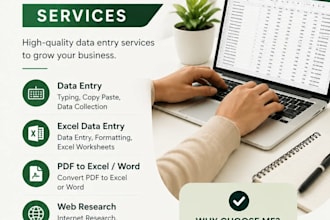 do professional data entry, excel data entry