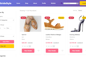 develop a professional django and python web application or website