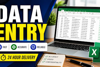 do data cleaning and data entry