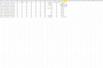 do professional data entry and copy pest work in excle