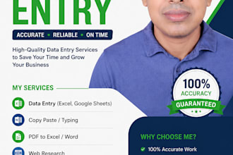do  data entry, internet research and data analysis